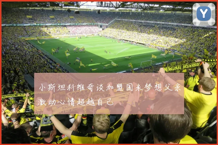 小斯坦科维奇谈加盟国米梦想父亲激动心情超越自己